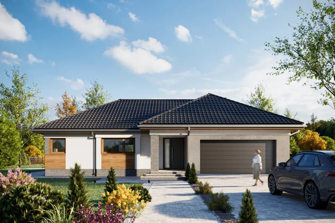 Ariadna Rex Wizualizacja 1