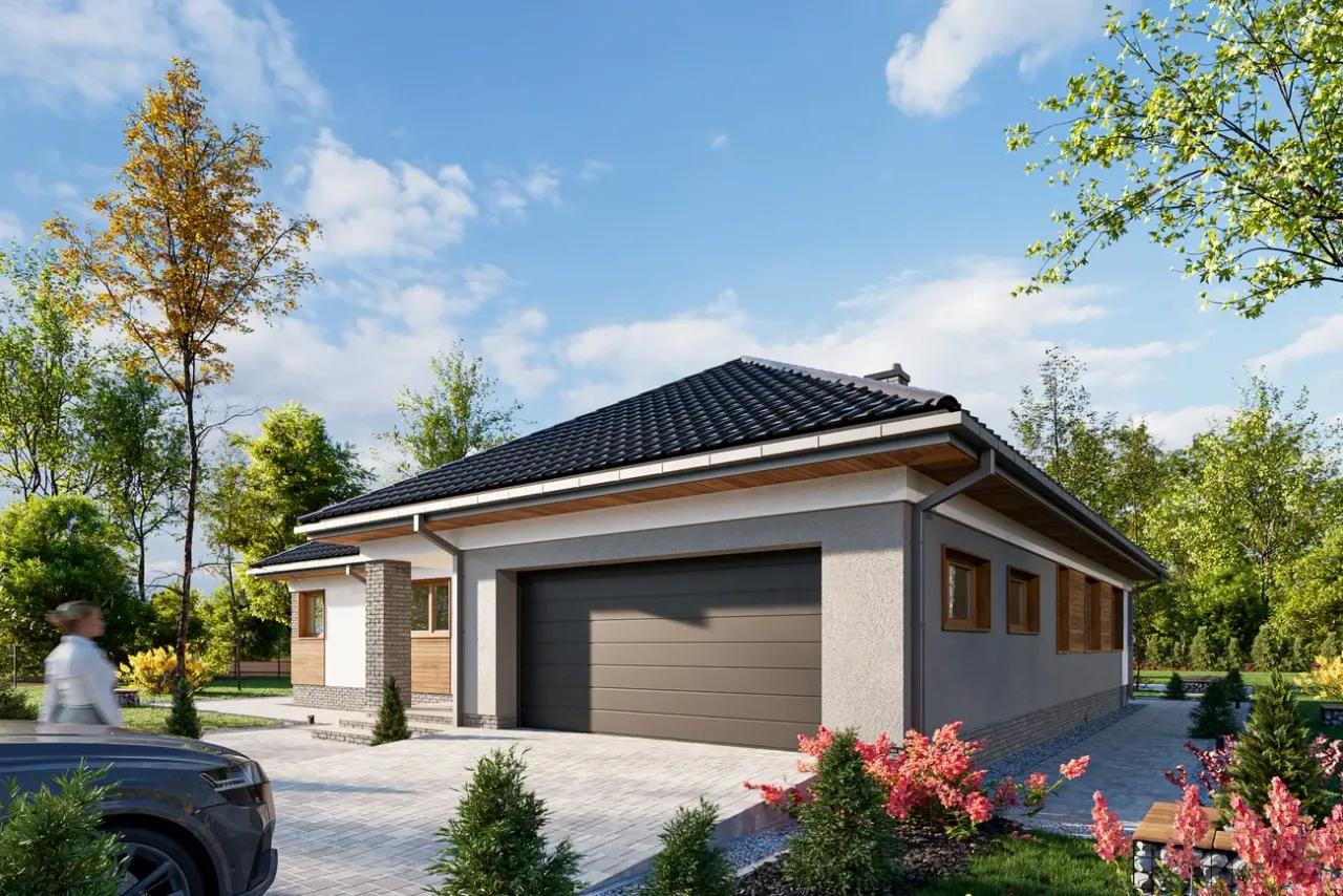 Ariadna Rex Wizualizacja 2