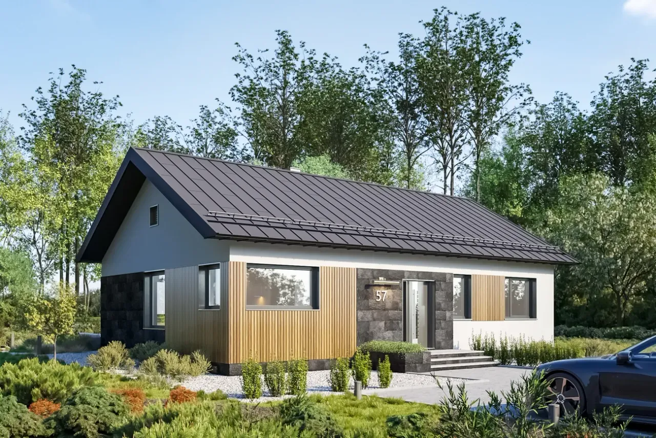 Janek Bobo Wizualizacja 1