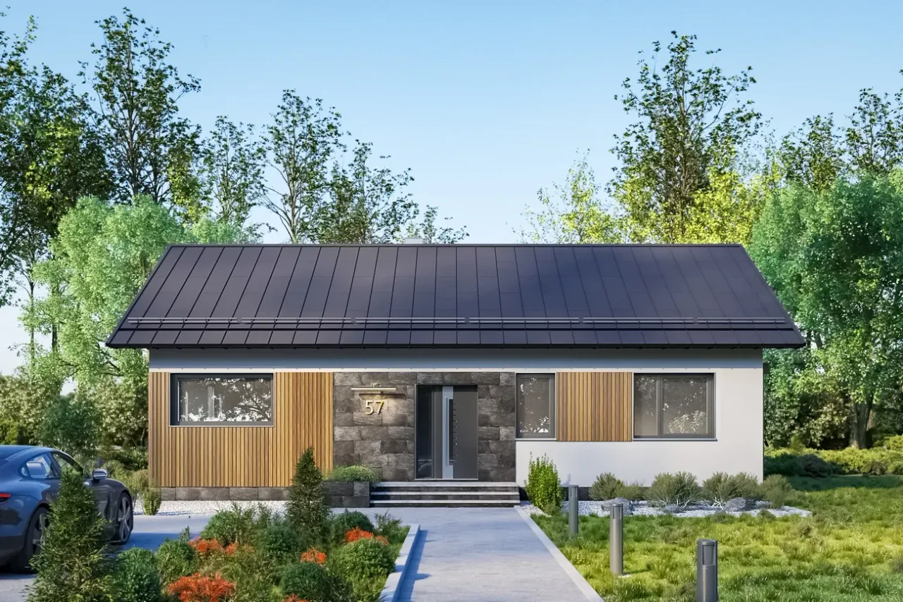 Janek Bobo Wizualizacja 2