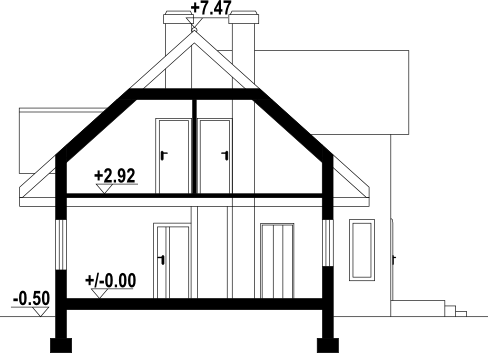 Brzoza dws