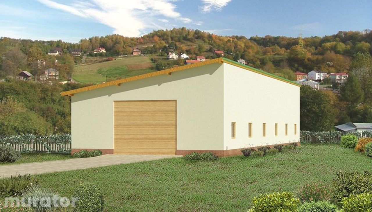 budynek garażowo-magazynowy gmc04c - GMC04c Wizualizacja 2