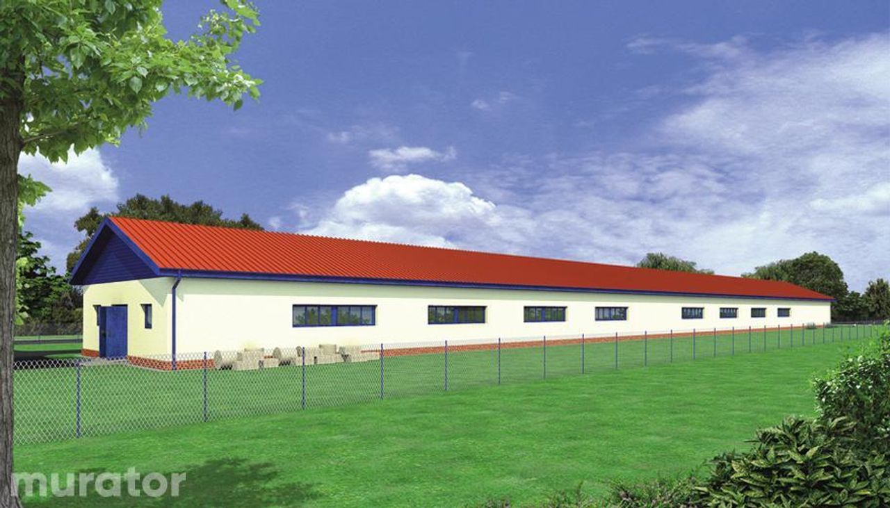 kurnik dla 10131 sztuk brojlerów kurzych kc04 - KC04 Wizualizacja 2