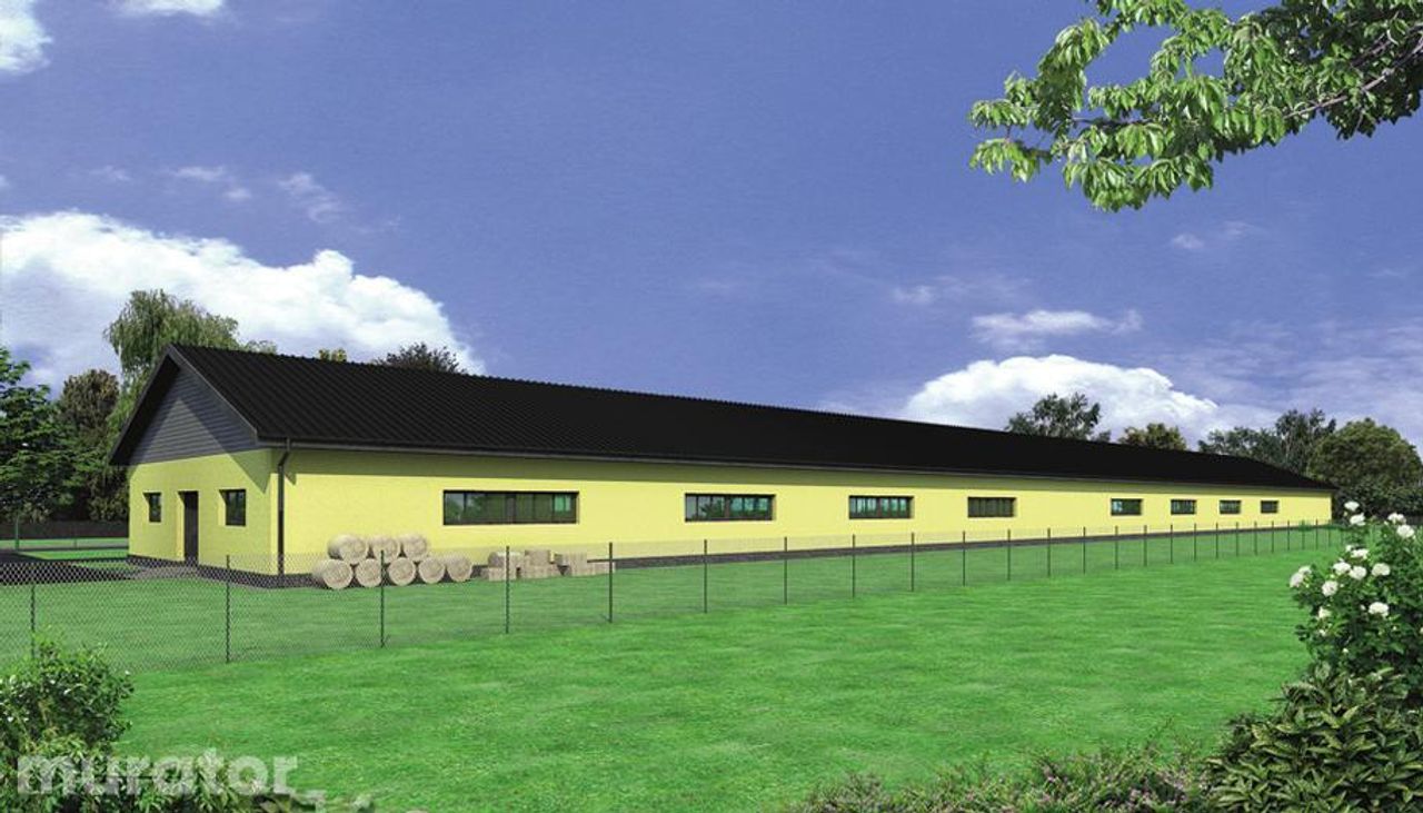 kurnik dla 15047 sztuk brojlerów kurzych kc05 - KC05 Wizualizacja 2