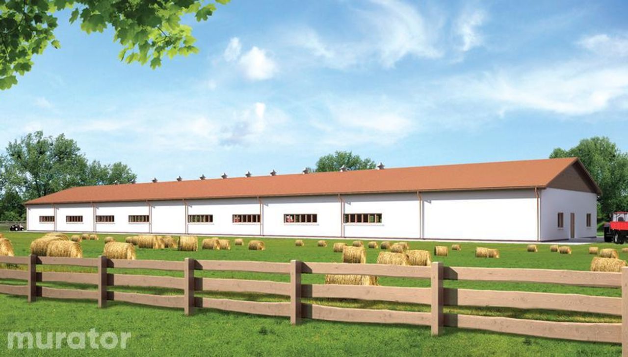 kurnik dla 15559 sztuk brojlerów kurzych kc06 - KC06 Wizualizacja 2