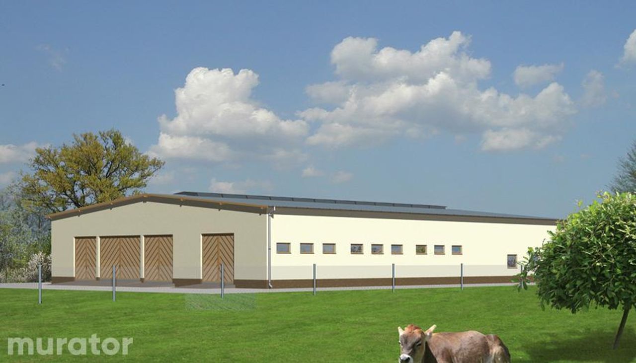 obora dla 43 krów mlecznych, wolnostanowiskowa (boksowa), na płytkiej ściółce oc01 - OC01 Wizualizacja 2