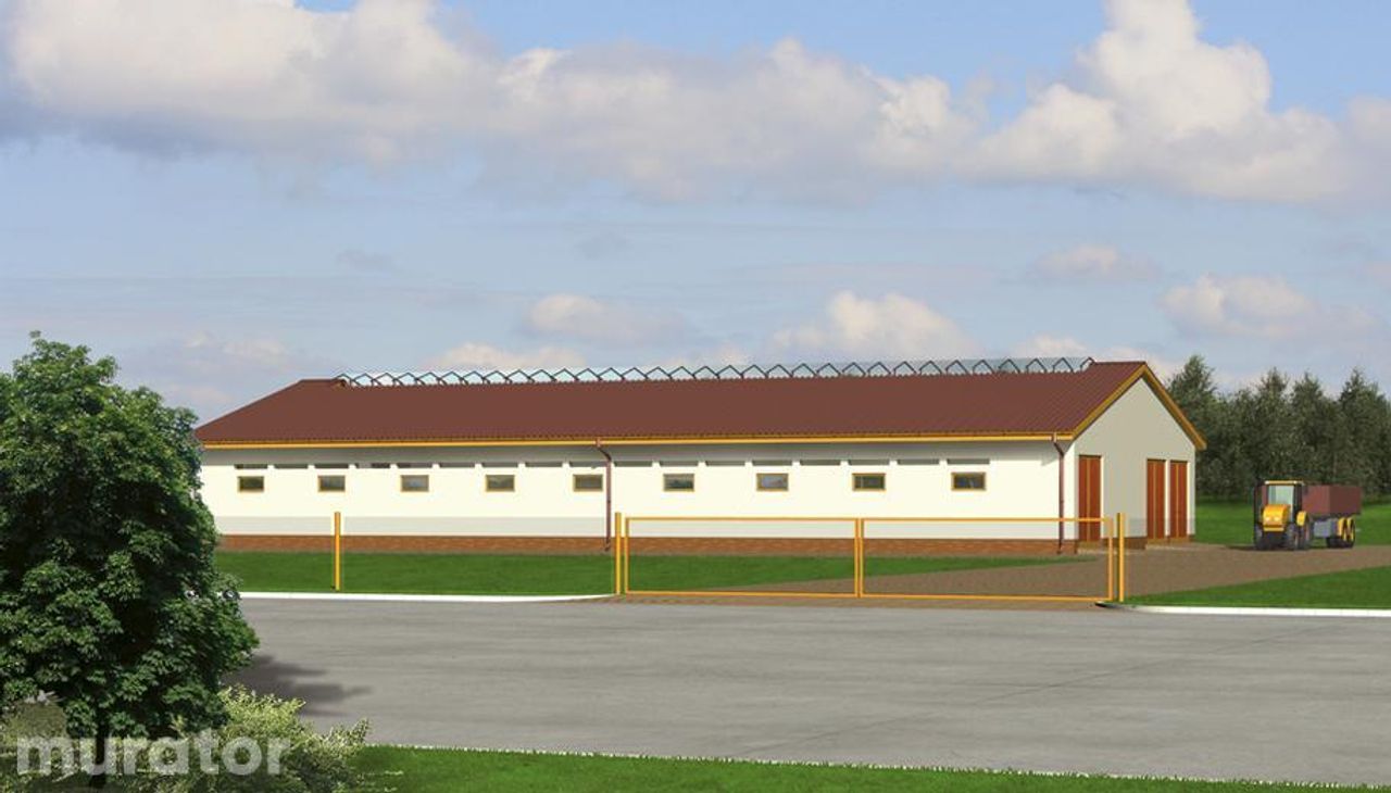 obora dla 38 krów mlecznych, wolnostanowiskowa (grupowa), na głębokiej ściółce oc02 - OC02 Wizualizacja 1