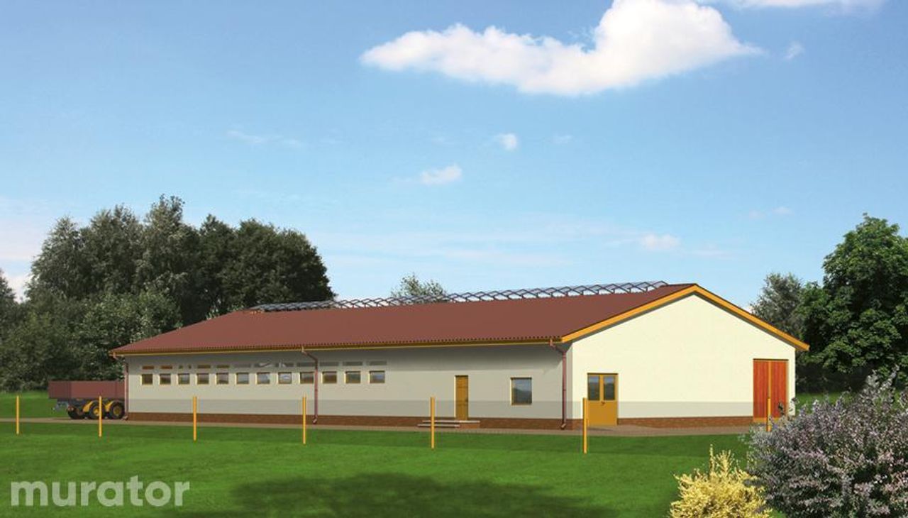 obora dla 38 krów mlecznych, wolnostanowiskowa (grupowa), na głębokiej ściółce oc02 - OC02 Wizualizacja 2