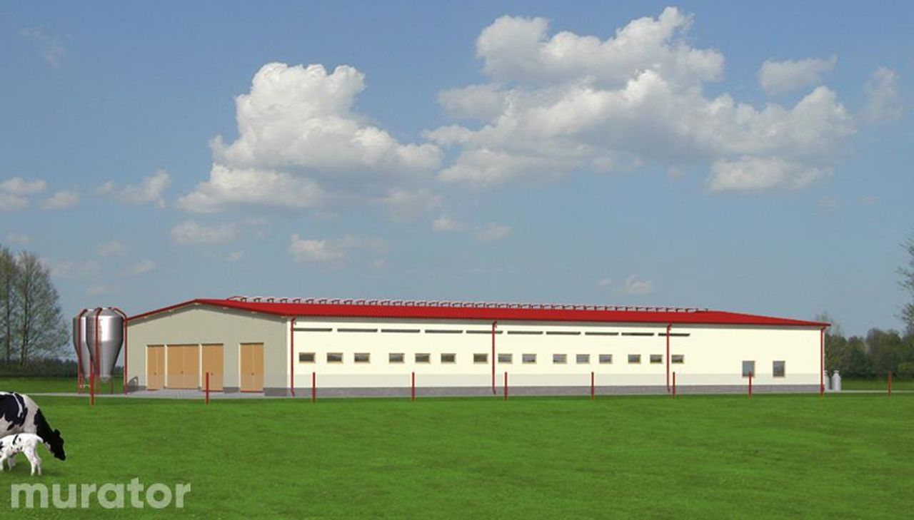 obora dla 66 krów mlecznych, wolnostanowiskowa, na płytkiej ściółce oc04 - OC04 Wizualizacja 2