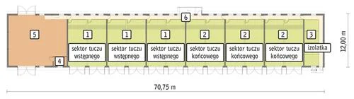 Tuczarnia dla 480 sztuk, na głębokiej ściółce - T07