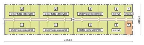 Tuczarnia dla 960 sztuk, na rusztach - T13