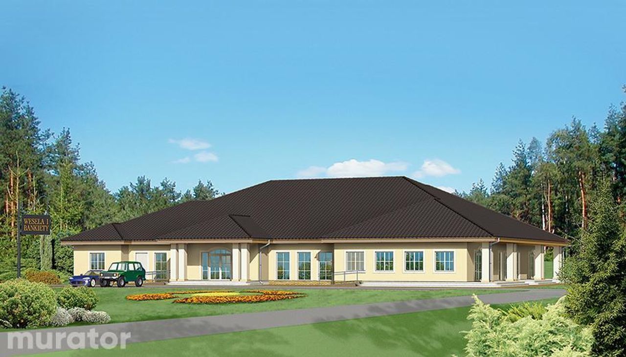 budynek usługowy uc20b - UC20b Wizualizacja 1