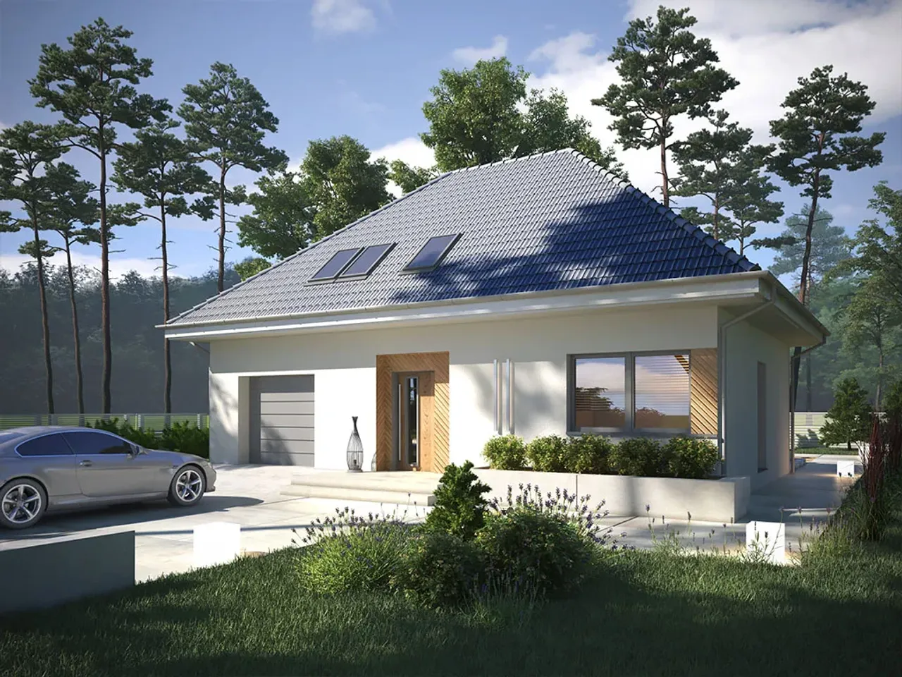 Krajobrazy 31 Wizualizacja 1