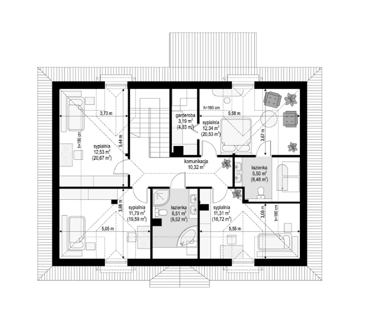 Hetman wariant B Rzut 2